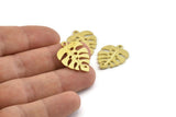 Brass Monstera Charm, 4 Raw Brass Textured Monstera Leaf Charms With 1 Loop, Pendants, Earrings, Findings (25x18x1.4mm) N0752