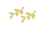 Brass Leaf Charm, 50 Textured Raw Brass Leaf Charms With 1 Loop, Findings (35x19x040mm) A1979