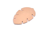 Copper Leaf Blank, 8  Raw Copper Leaf Blanks, Copper Blanks, Stamping Blanks (30x20x0.80mm) M01729