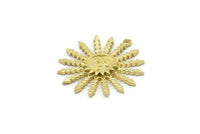 Pirinç Güneş Tılsımı, 1 Döngülü 2 Ham Pirinç Güneş Tılsımı, Bulgular (29x27x2,3 mm) N1569