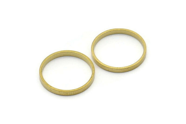 17x2mm Circle Connectors - 50 Raw Brass Circle Connectors (17x0.8x2mm) D0309