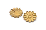 Brass Daisy Charm, 4 Raw Brass Flower Charms With 1 Loop (21mm) SY0039