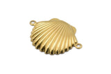Brass Shell Charm, 24 Raw Brass Sea Shell Charm With 2 Loops, Pendants, Connectors, Findings (20x28mm) D1053