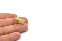 Brass Bug Earring, 2 Raw Brass Fly Stud Earrings (23x19mm) N1930