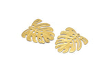 Brass Monstera Charm, 24 Raw Brass Monstera Leaf Charms With 1 Loop, Pendants, Earrings, Findings (21x22x0.5mm) D0706