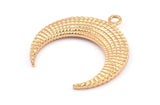 Rose Gold Moon Charm, 1 Rose Gold Plated Brass Textured Horn Charms, Pendant, Jewelry Finding (36x10.55x3.65mm) N0206 Q0429