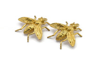 Huge Bug Pendant, 1 Raw Brass Bug Fly Insect Charm Pendant (43x41mm) N214