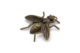 Huge Bug Pendant, 1 Antique Plated Brass Bug Fly Insect Charm Pendant (43x41mm) N0214 Y118