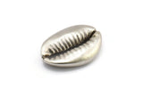 Silver Shell Finding, 2 Antique Silver Plated Brass Cowrie Shell Findings, Pendants, Charms, Earrings, Beads 20-25MM E275