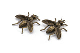 Huge Bug Pendant, 1 Antique Plated Brass Bug Fly Insect Charm Pendant (43x41mm) N0214 Y118