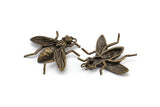Huge Bug Pendant, 1 Antique Plated Brass Bug Fly Insect Charm Pendant (43x41mm) N0214 Y118