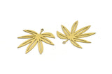 Brass Leaf Charm, 6 Raw Brass Leaf Shaped Charms With 1 Loop, Charm Pendants (32x34x0.60mm) A3401