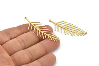 Brass Leaf Charm, 8 Raw Brass Branch Charms With 1 Loop, Charm Pendants (51x19x0.60mm) A3450
