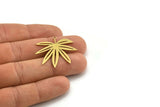 Brass Leaf Charm, 6 Raw Brass Leaf Shaped Charms With 1 Loop, Charm Pendants (32x34x0.60mm) A3401