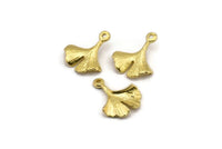 Brass Gingko Pendant, 8 Raw Brass Leaf Charms (18x15mm) N0443