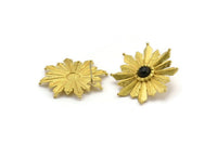 Brass Badge Earring, 2 Raw Brass Rosette Stud Earrings - Pad Size 6mm (35mm) N0771