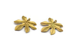 Brass Leaf Pendant, 6 Raw Brass Leaf Pendants, Charms, Earrings, Findings (26x22x1.8mm) BS 2209