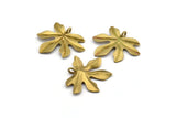 Brass Leaf Pendant, 6 Raw Brass Leaf Pendants, Charms, Earrings, Findings (26x22x1.8mm) BS 2209