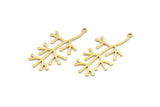 Brass Leaf Charm, 12 Raw Brass Branch Charms With 1 Loop, Charm Pendants (38x18x0.80mm) A4206
