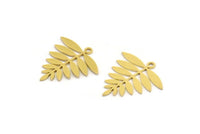 Brass Leaf Charm, 12 Raw Brass Acacia Leaf Charms With 1 Loop, Findings (21x20x0.60mm) A4353