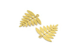 Brass Leaf Charm, 12 Raw Brass Acacia Leaf Charms With 1 Loop, Findings (21x20x0.60mm) A4353