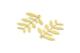 Brass Leaf Charm, 12 Raw Brass Branch Charms With 1 Loop, Charm Pendants (24x19x0.60mm) A4441