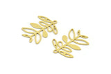 Brass Leaf Charm, 12 Raw Brass Branch Charms With 1 Loop, Charm Pendants (24x19x0.60mm) A4440