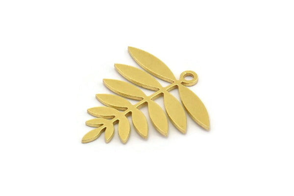 Brass Leaf Charm, 12 Raw Brass Acacia Leaf Charms With 1 Loop, Findings (21x20x0.60mm) A4353