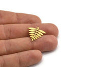 Brass Leaf Charm, 12 Raw Brass Acacia Leaf Charms With 1 Loop, Findings (21x20x0.60mm) A4353