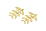 Brass Leaf Charm, 24 Raw Brass Branch Charms With 1 Loop, Charm Pendants (20x16x0.60mm) A4438