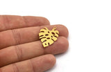 Brass Monstera Charm, 8 Raw Brass Monstera Leaf Shaped Charms With 1 Loop, Pendant, Earring Findings (30x20x0.60mm) A4776