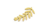 Brass Leaf Blank, 24 Raw Brass Branch Blanks, Charm Pendants (22x11x0.60mm) A4957