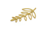 Brass Leaf Blank, 24 Raw Brass Branch Blanks, Charm Pendants (31x19x0.60mm) A5128