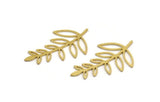 Brass Leaf Blank, 24 Raw Brass Branch Blanks, Charm Pendants (31x19x0.60mm) A5128