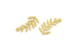 Brass Leaf Blank, 12 Raw Brass Branch Blanks, Charm Pendants (33x16x0.60mm) A4958