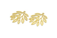Brass Leaf Charm, 8 Raw Brass Branch Charms With 1 Loop, Charm Pendants (32x28x0.60mm) A5027