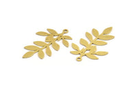 Brass Leaf Charm, 8 Raw Brass Branch Charms With 1 Loop, Charm Pendants (34x21x0.60mm) A5364