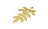 Brass Leaf Charm, 8 Raw Brass Branch Charms With 1 Loop, Charm Pendants (34x21x0.60mm) A5364
