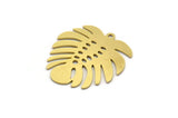 Brass Monstera Charm, 6 Raw Brass Monstera Leaf Shaped Charms With 1 Loop, Pendant, Earring Findings (27x25x0.60mm) A6121