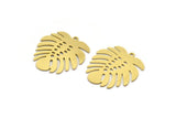 Brass Monstera Charm, 6 Raw Brass Monstera Leaf Shaped Charms With 1 Loop, Pendant, Earring Findings (27x25x0.60mm) A6121