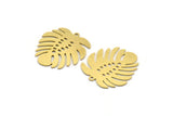 Brass Monstera Charm, 6 Raw Brass Monstera Leaf Shaped Charms With 1 Loop, Pendant, Earring Findings (27x25x0.60mm) A6121
