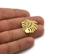 Brass Monstera Charm, 6 Raw Brass Monstera Leaf Shaped Charms With 1 Loop, Pendant, Earring Findings (27x25x0.60mm) A6121