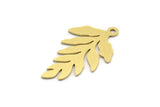 Brass Leaf Charm, 12 Raw Brass Branch Charms With 1 Loop, Charm Pendants (26x15x0.60mm) A6403