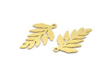 Brass Leaf Charm, 12 Raw Brass Branch Charms With 1 Loop, Charm Pendants (26x15x0.60mm) A6403