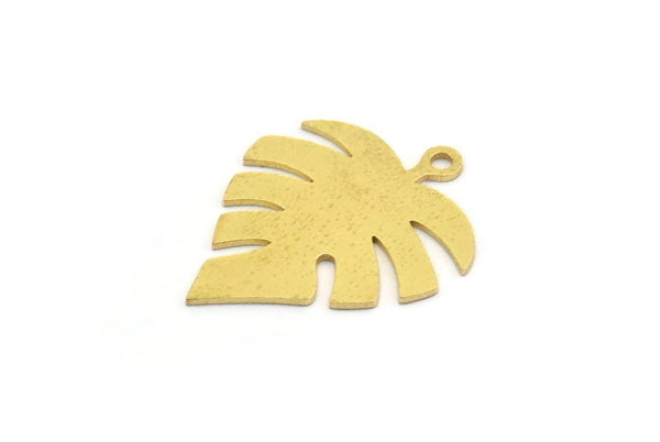 Brass Monstera Charm, 10 Raw Brass Monstera Leaf Shaped Charms With 1 Loop, Pendant, Earring Findings (24x19x0.60mm) A6407