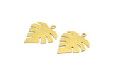 Brass Monstera Charm, 10 Raw Brass Monstera Leaf Shaped Charms With 1 Loop, Pendant, Earring Findings (24x19x0.60mm) A6407