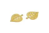 Brass Leaf Charm, 8 Raw Brass Acacia Leaf Charms With 1 Loop, Findings (25.5x19x0.60mm) A6633