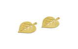 Brass Leaf Charm, 8 Raw Brass Acacia Leaf Charms With 1 Loop, Findings (25.5x19x0.60mm) A6633