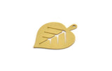 Brass Leaf Charm, 8 Raw Brass Acacia Leaf Charms With 1 Loop, Findings (25.5x19x0.60mm) A6633