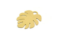 Brass Monstera Charm, 6 Raw Brass Monstera Leaf Shaped Charms With 1 Loop, Pendant, Earring Findings (26x22x0.60mm) SMP0288